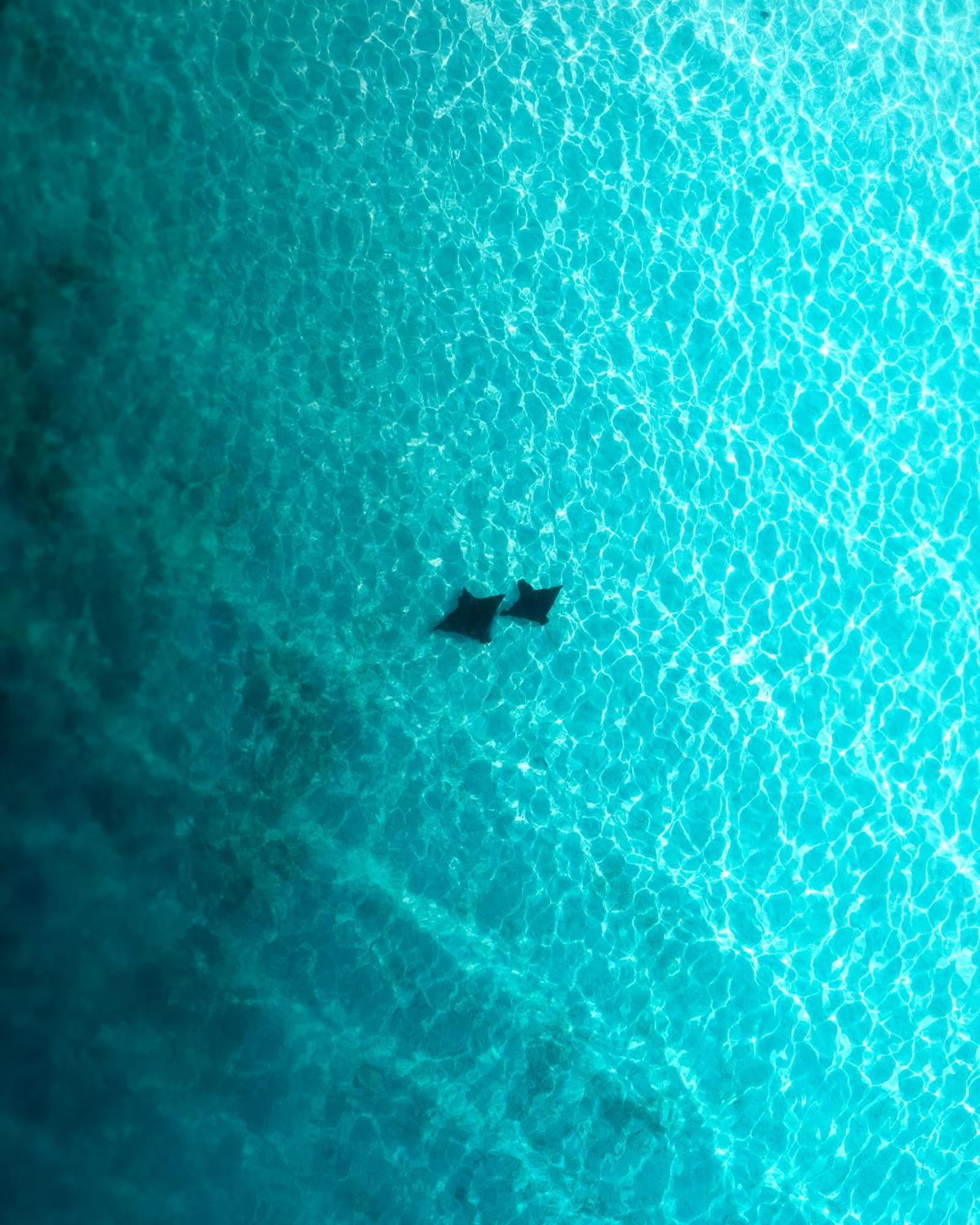 Ocean Pearl Maldives At Gulhi Island Hotell Eksteriør bilde